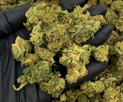 Mystic Gardens Pinnacle THC-A Flower (3.5g / 7g / 14g)