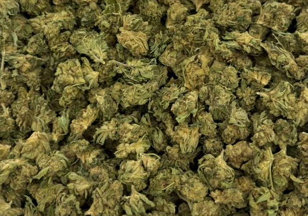 Pinnacle 1.5g THC-A Indica Pre-Rolls